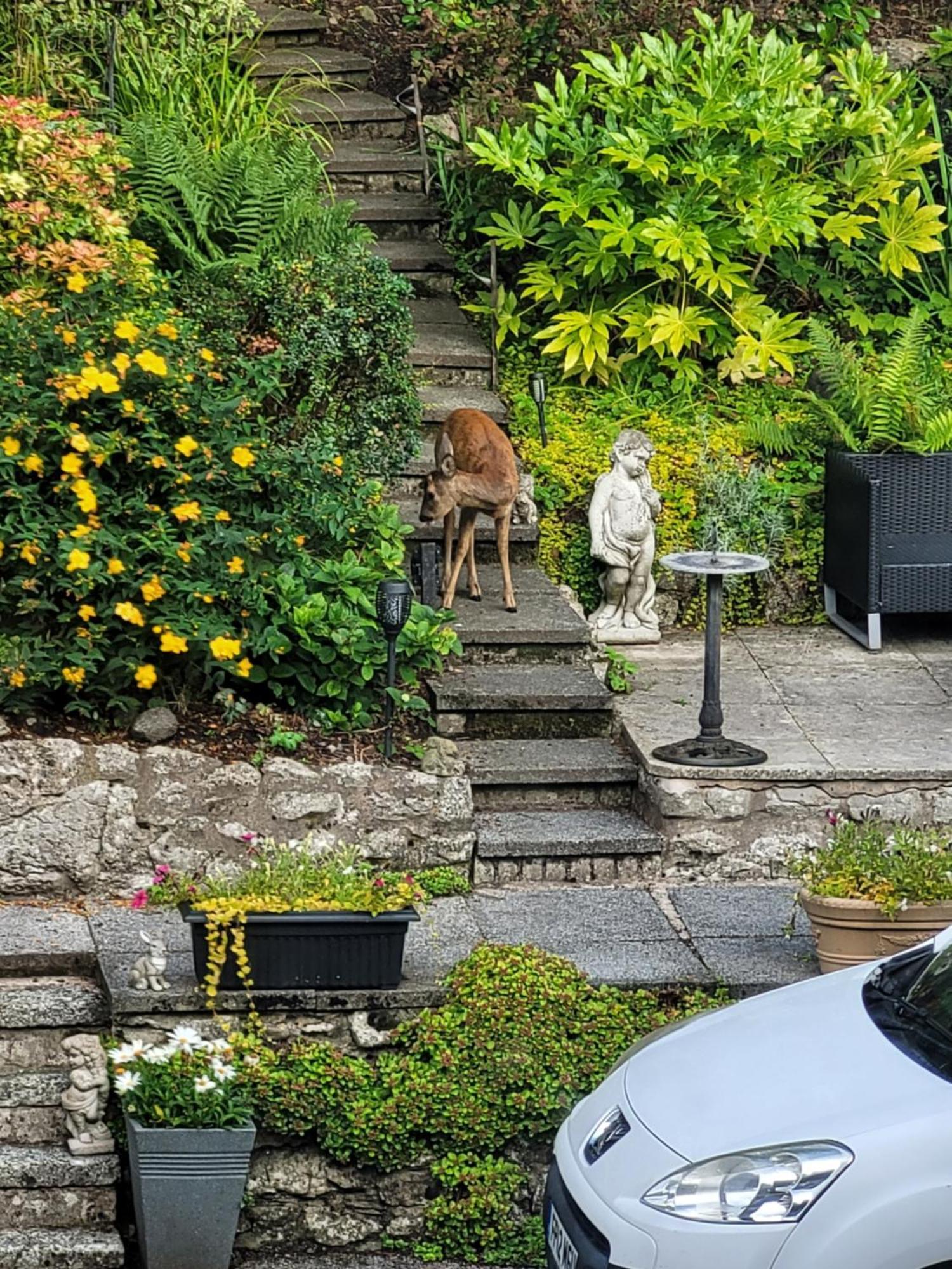 Elton Guest House Grange-over-Sands Exterior foto